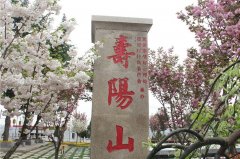九龍山公墓地處戶(hù)縣石井鄉(xiāng)潭峪村1萬(wàn)起