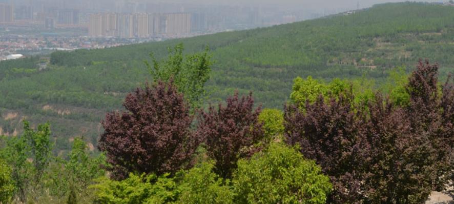 西安高橋墓園怎么樣風(fēng)水好嗎？