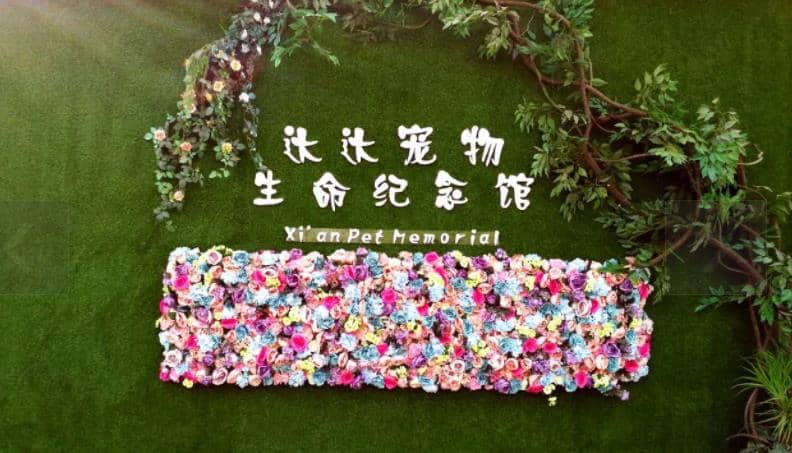 西安寵物墓地價(jià)格？西安寵物墓地在哪里？