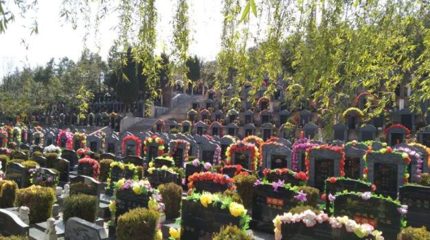 西安漢陵墓園溫馨提示:文明祭祀 嚴禁焚燒