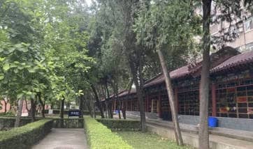 孝斤的尺寸標準與使用建議