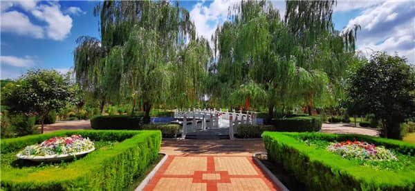閻良漢皇樹葬墓園網上生命紀念館如何使用？