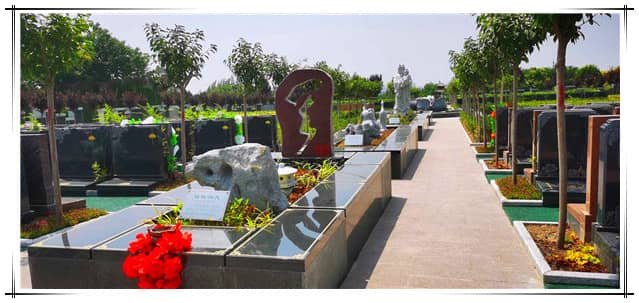 如何從西安市中心乘坐班車前往閻良漢皇樹葬墓園？