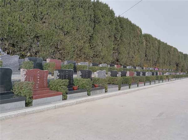 西安閻良漢皇樹葬墓園作為西安樹葬最成熟的墓園，有哪些優勢？