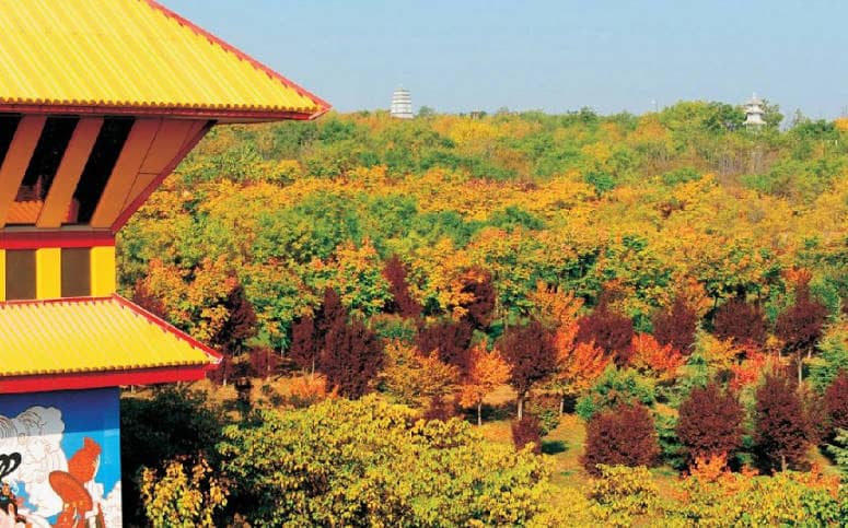 西安市鳳棲山墓園北區