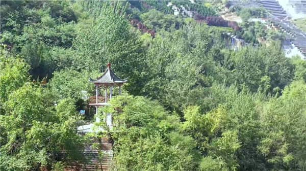 在西安公墓購買墓地的一般流程是什么？在選購過程中需要注意哪些事項？