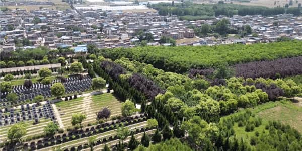 西安壽陽(yáng)山高橋公墓對(duì)比