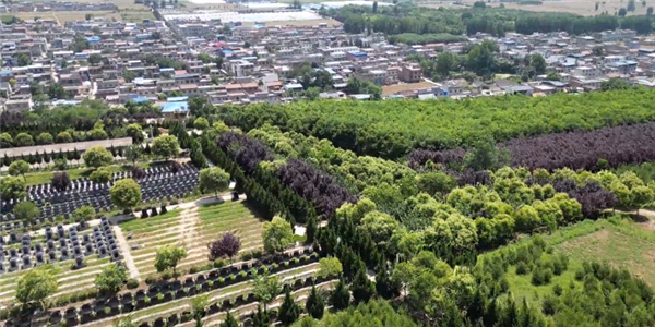 前往西安壽陽山公墓，除了公交車之外還有哪些便捷的交通方式？