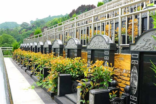 在壽陽山墓園，如果墓穴周圍的綠化出現(xiàn)了病蟲或枯死等問題，應(yīng)該如何處理？