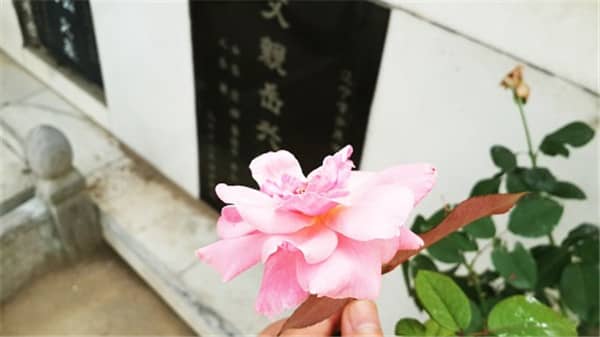 西安墓園有哪些壽陽山墓園，從選擇公墓開始！