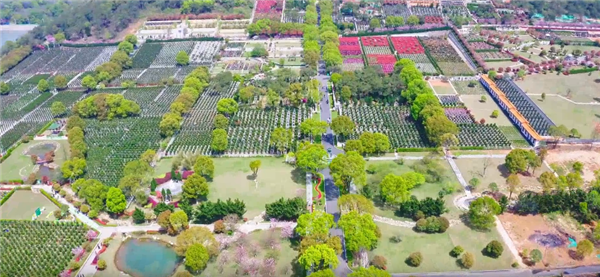 西安壽陽山墓園的花壇葬服務具體包括哪些內容,如何確保花壇的長期整潔與美觀?
