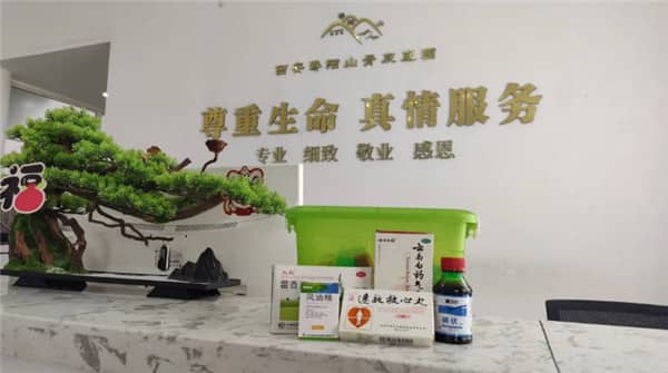 西安壽陽(yáng)山墓園櫻花苑C區(qū):優(yōu)雅寧?kù)o的安息之地