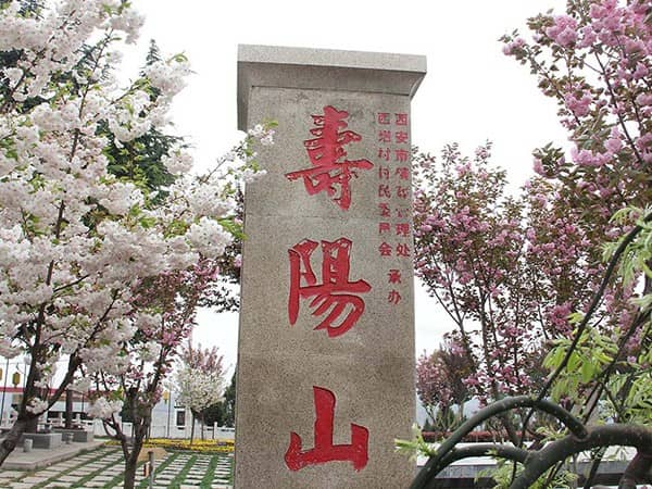 如何前往西安壽陽山墓園,是否有免費班車服務?