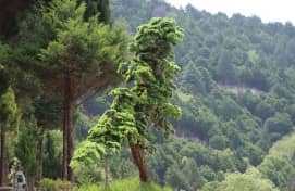 在重陽佳節(jié)期間,西安壽陽山墓園為訪客提供了哪些獨特的體驗活動?