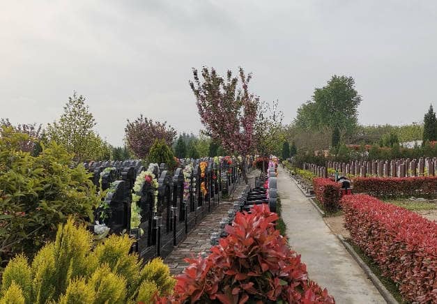 在西安棗園山生態(tài)人文紀念園寒衣節(jié)期間,有哪些推薦的文明祭祀方式?