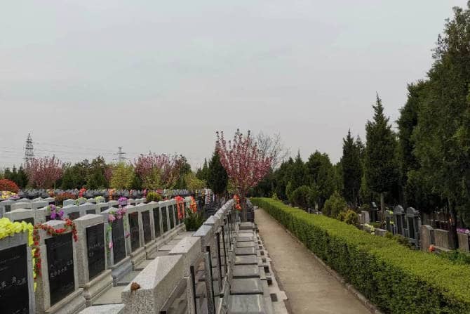 棗園山生態人文紀念園:綠色緬懷,人文紀念的新選擇