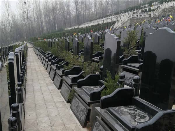 生態(tài)葬如何體現(xiàn)了對環(huán)境保護(hù)的貢獻(xiàn)?