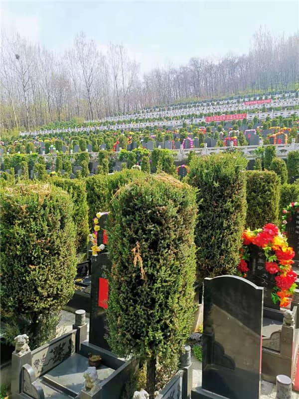 西安九龍山墓園照片高清