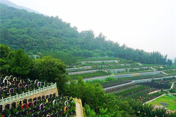 西安九龍山公墓掃墓規(guī)定