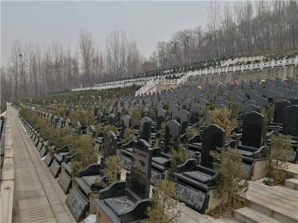 西安九龍山墓園的朝向設計有何特別之處，如何體現對逝者的尊重？