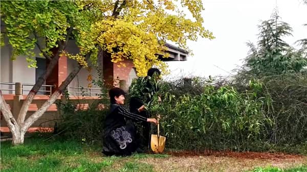 西安霸陵墓園新區怎么樣，選購攻略全面解讀！