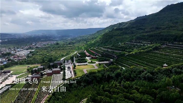 西安霸陵墓園新區是否提供墓碑清潔和維護服務？