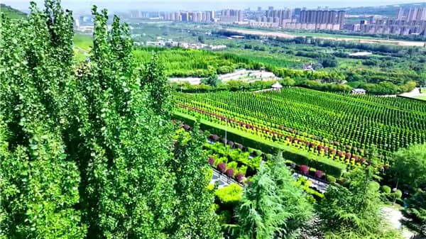 西安霸陵老區公墓的電話-西安霸陵墓園新區民辦