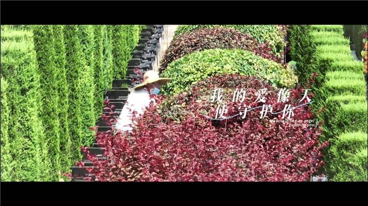 西安霸陵墓園新區，西安霸陵墓園新區的介紹與特色