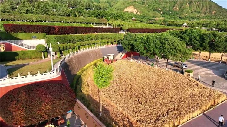 西安霸陵墓園地形特點概括，墓地大比拼