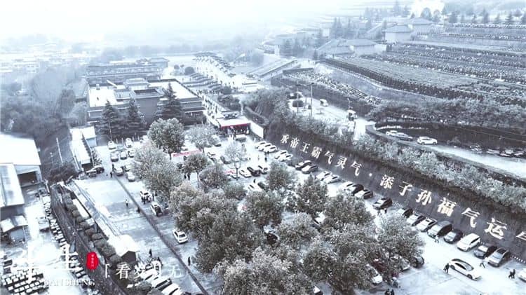 西安灞橋區霸陵墓園如何確保清明節祭掃活動的安全與文明?
