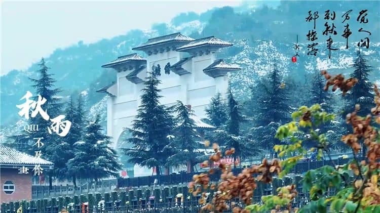 西安霸陵陵園提供的生態(tài)葬方式有哪些？