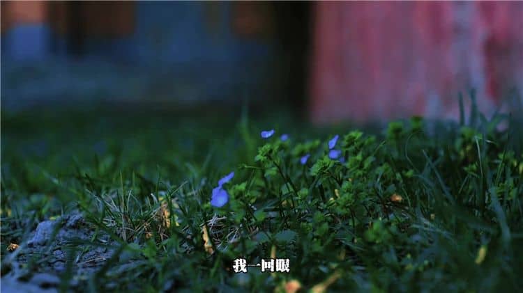 西安霸陵公墓新區：承載生命尊嚴與哀思的新篇章