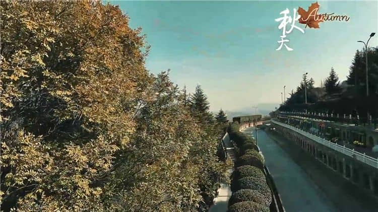 西安霸陵墓園新區(qū)具體位于哪個(gè)區(qū)域和街道,其周邊有哪些主要的交通路線?