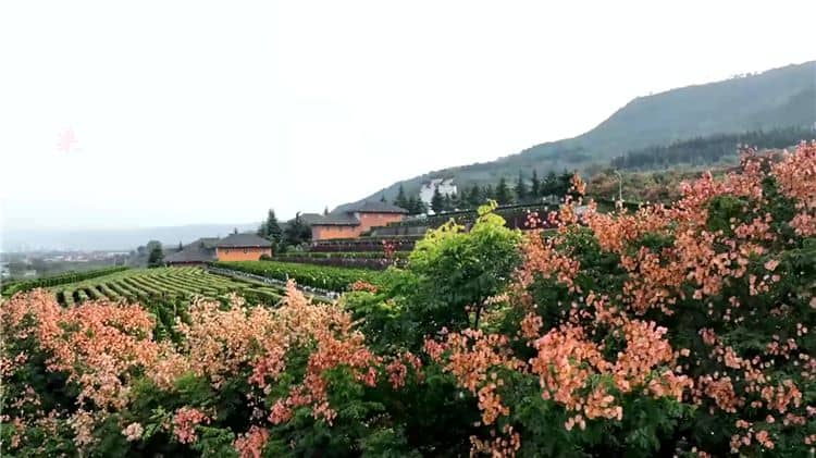 西安霸陵墓園新區在社會公益性方面有哪些貢獻？