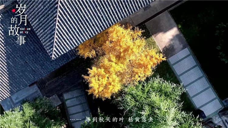 西安霸陵墓園新區規劃了哪些服務?