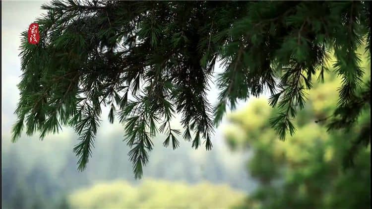 西安霸陵陵園提供了哪些安葬形式,并簡(jiǎn)述每種安葬形式的特點(diǎn)?