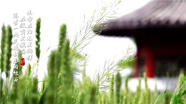 西安霸陵墓園新區(qū)地址-怎么坐車可以直達墓園