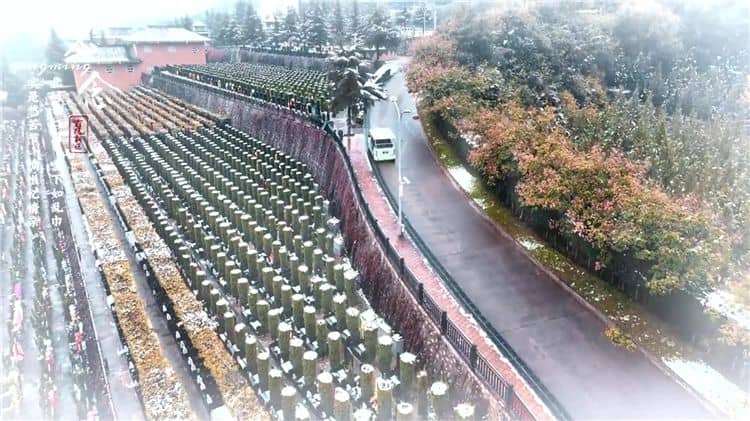西安霸陵公墓提供哪些交通服務(wù)來(lái)方便家屬和訪客？