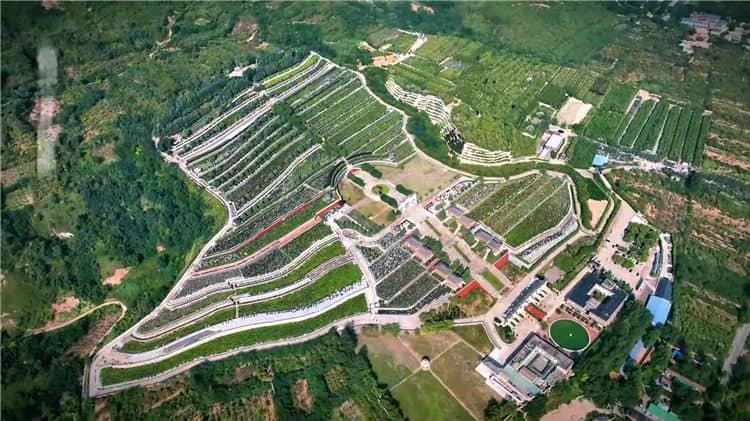 請問西安霸陵墓園的歷史背景是什么？