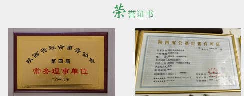 西安鳳凰嶺公墓在清明期間有哪些特別的活動或安排？