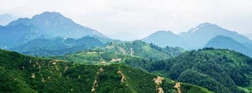 鳳凰嶺公墓在綠化和環(huán)境保護(hù)方面有哪些措施?