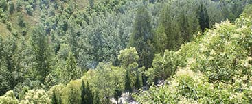鳳凰嶺公墓的環(huán)境與風(fēng)水特點(diǎn)介紹？