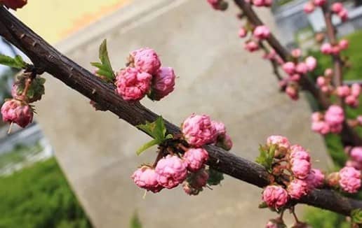 西安公墓排名大全,為您提供永久歸宿
