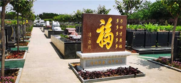 墓地4排9號怎么樣 墓地編號與位置選擇建議