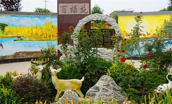 壽衣不能放在餐廳的三個(gè)地方?禁忌解析與注意事項(xiàng)