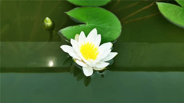 西安鯨魚溝墓園,選公墓吧!