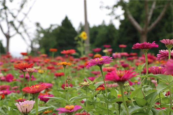 西安鄠邑區墓園