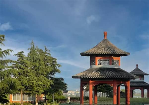 西安樹葬地點探索:與自然和諧共存的安息之地