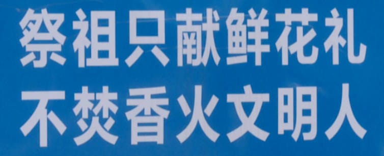 墳地栽松樹距離多少合適?種植規(guī)范與風(fēng)水解析
