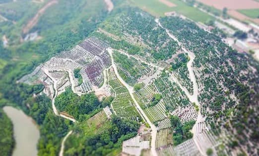 西安公墓墓地買賣訣竅!